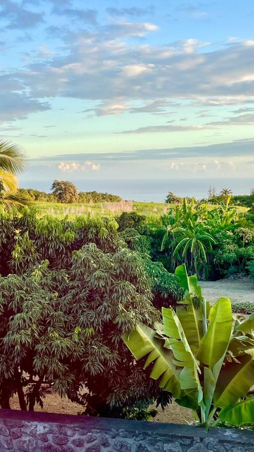 Les Villas De La Ligne Des Bambous Ravine des Cabris Exterior foto